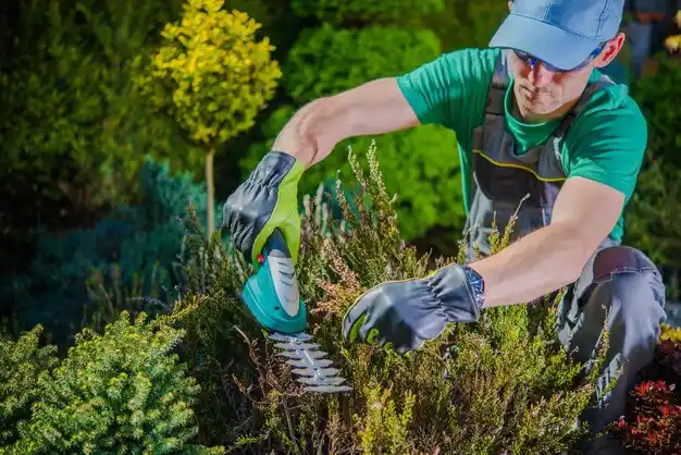 landscaping services Bel-Ridge
